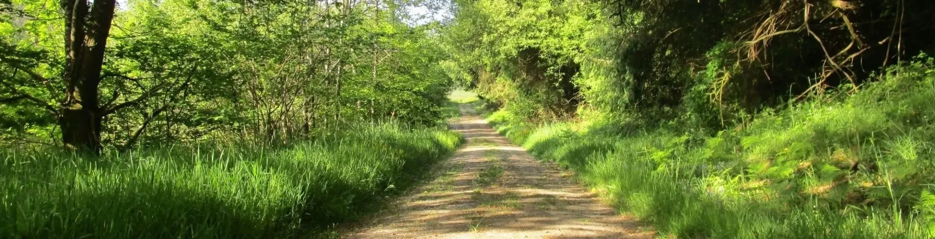 cropped-bretagne-production-cosmetique-hydrolat-eau-florale-en-tete 1/ Petit guide des Hydrolats & Eaux Florales