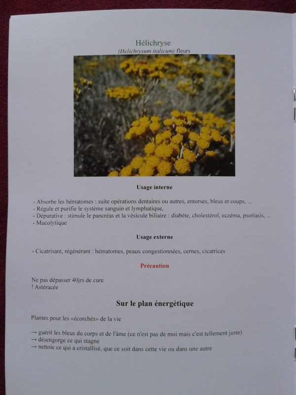 guide-hydrolat-eau-florale-bretagne-fiche-plante-rotated-1.jpg 1/ Petit guide des Hydrolats & Eaux Florales