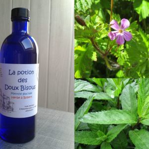 La potion des doux bisous
