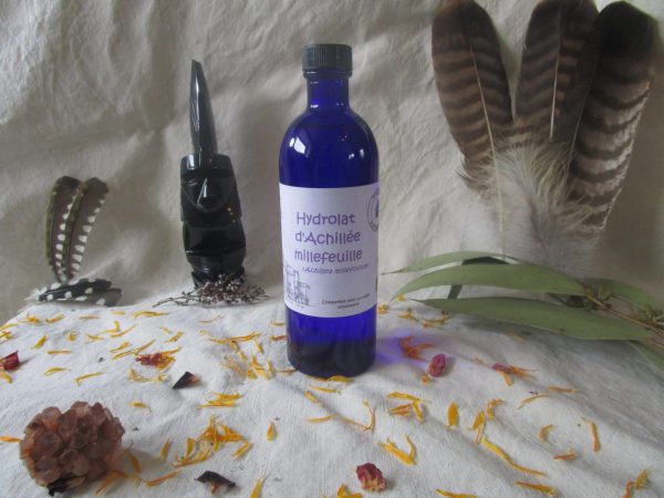 Achillée millefeuille