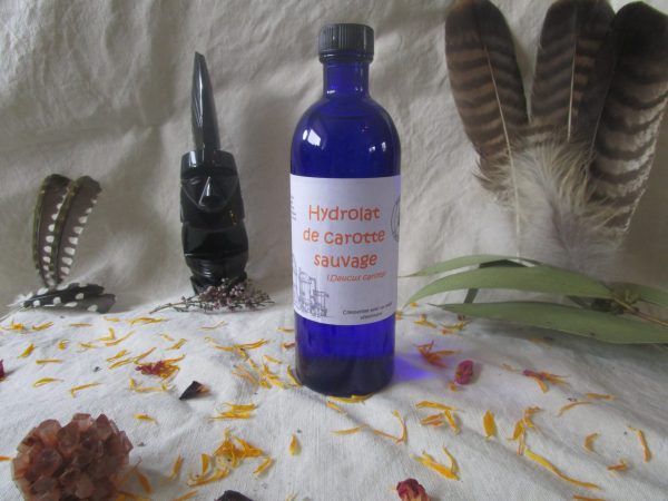 hydrolat-eau-florale-bretagne-carotte-sauvage.jpg Carotte sauvage