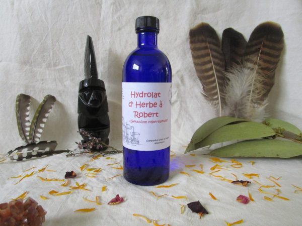 Herbe à robert (géranium)