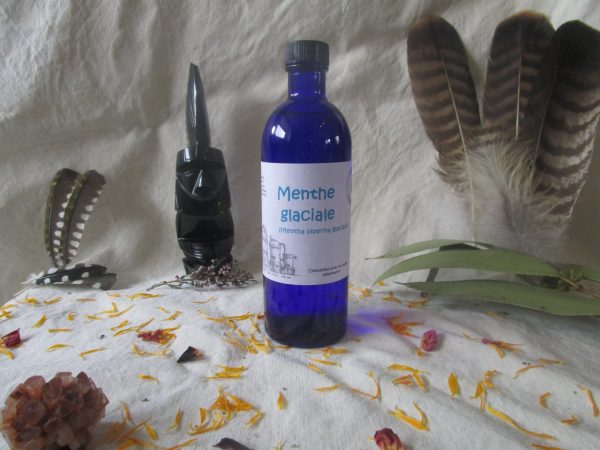 Menthe glaciale