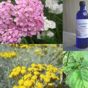 hydrolat-eau-florale-circulation-sans-helichryse-achillee-noisetier.jpg La potion rouge