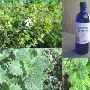 La potion de l'énergie