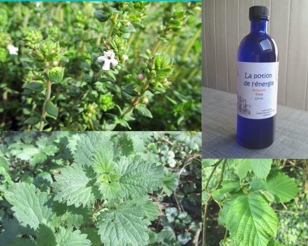 La potion de l'énergie