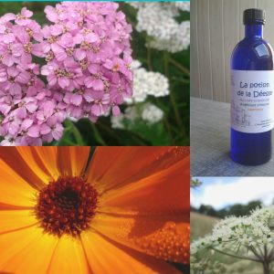 La potion de la Déesse