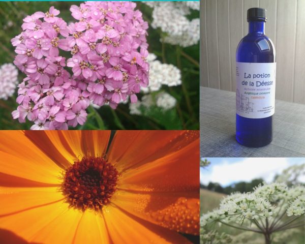 La potion de la Déesse