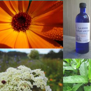 La potion "il était une fois"