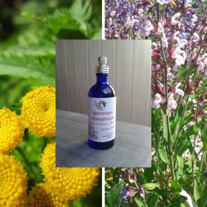 hydrolat-eau-florale-nettoyant-energetique-dragon-souffle.jpg Nettoyant énergétique : le souffle du dragon