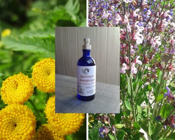 Nettoyant énergétique : le souffle du dragon