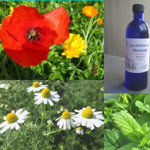 La potion de Morphée