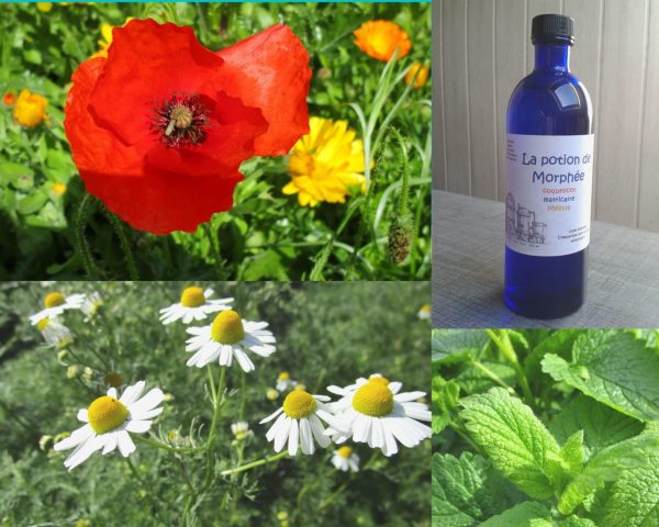 La potion de Morphée