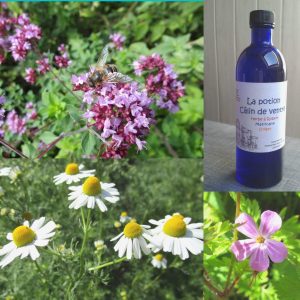 La potion Câlin de ventre