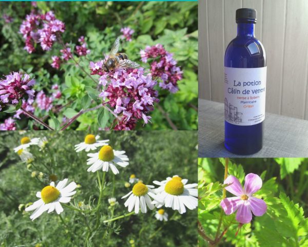 La potion Câlin de ventre